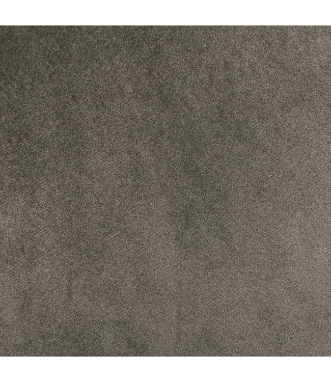 Eetkamerstoelen 2 st fluweel lichtgrijs