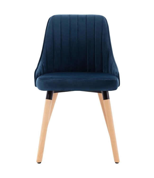Eetkamerstoelen 2 st fluweel blauw