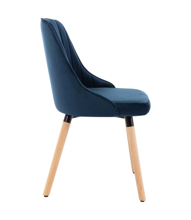 Eetkamerstoelen 2 st fluweel blauw