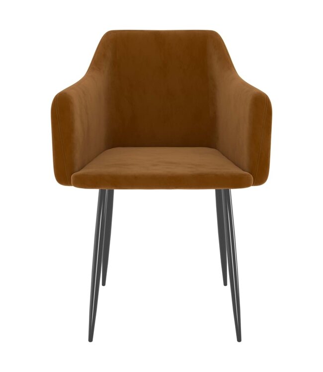 Eetkamerstoelen 2 st fluweel bruin