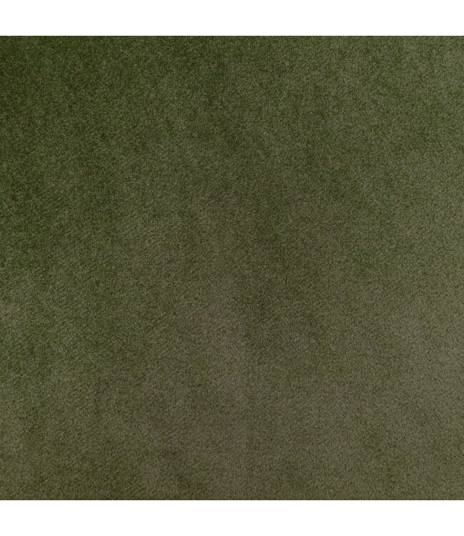 Eetkamerstoelen 6 st fluweel lichtgroen