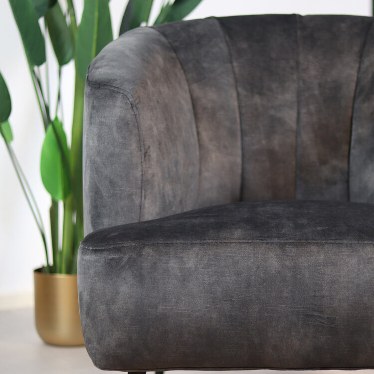 Velvet fauteuil Billy antraciet