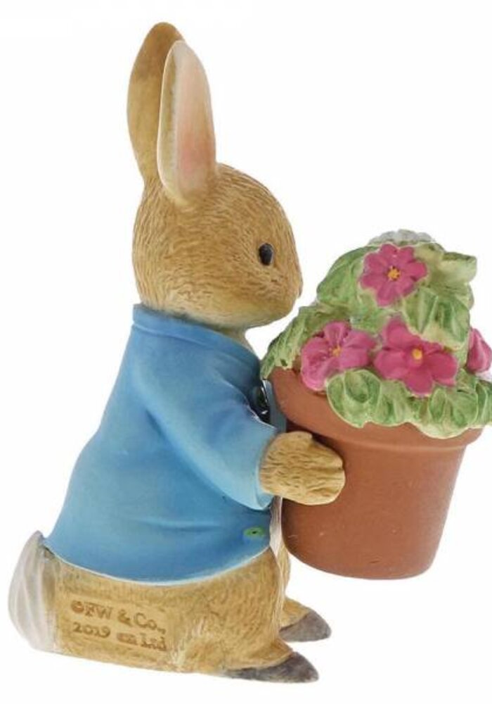 Beatrix Potter - Peter Rabbit Brings Flowers