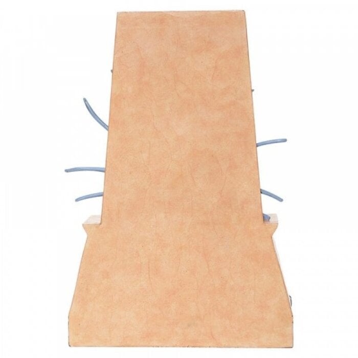 Disney Traditions - Emaciated Evil (Villain Yzma)