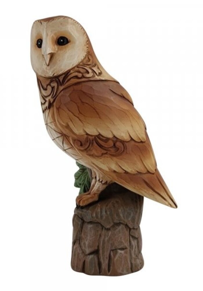 Heartwood Creek - Woodland Wisdom (Barn Owl)