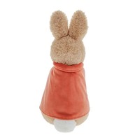 Beatrix Potter - Flopsy Large