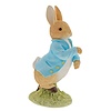 Beatrix Potter Beatrix Potter - Peter Rabbit 120th Anniversary - Limited Edition