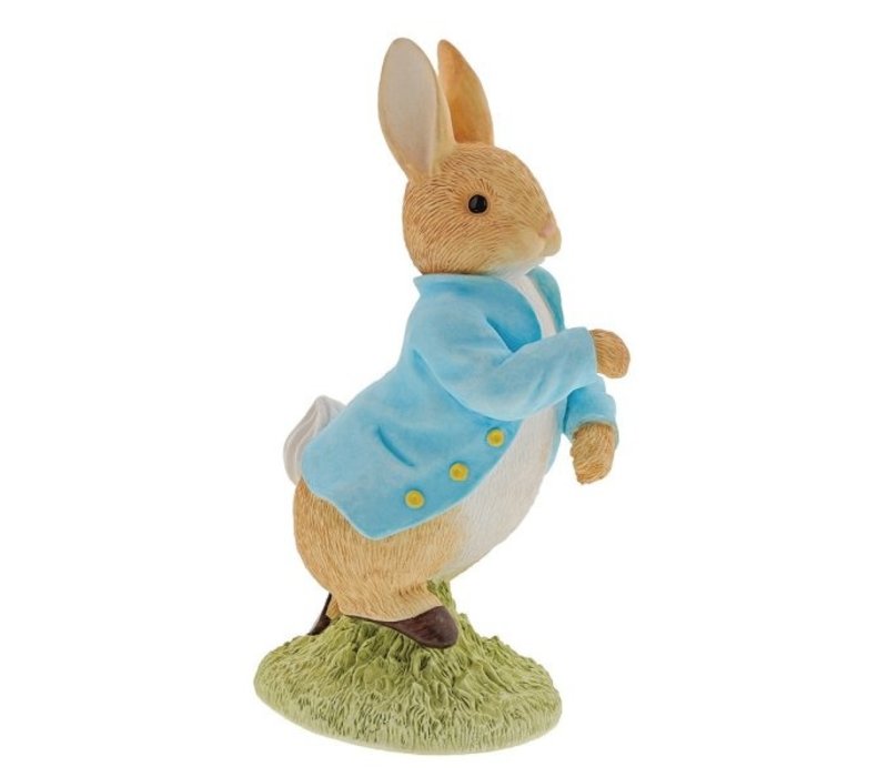 Beatrix Potter - Peter Rabbit 120th Anniversary - Limited Edition