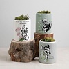 Disney Home Disney Home - Forest Friends Set of 3 Character Pots