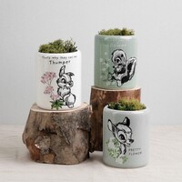 Disney Home - Forest Friends Set of 3 Character Pots