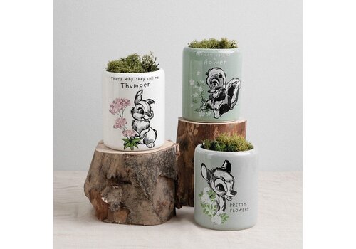 Disney Home Forest Friends Set of 3 Character Pots - Disney Home