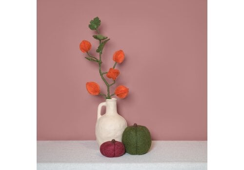 Sjaal met Verhaal Tak Physalis Lampion - Sjaal met een Verhaal