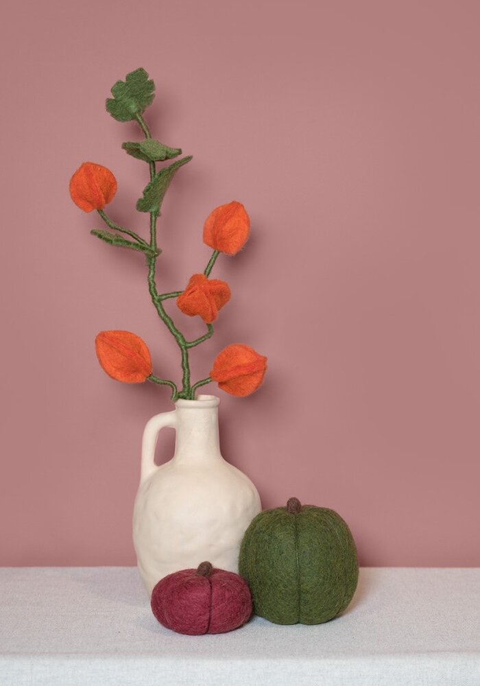 Sjaal met een Verhaal - Tak Physalis Lampion