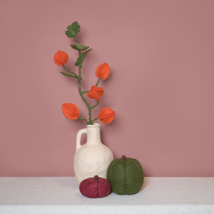 Sjaal met Verhaal Tak Physalis Lampion - Sjaal met een Verhaal