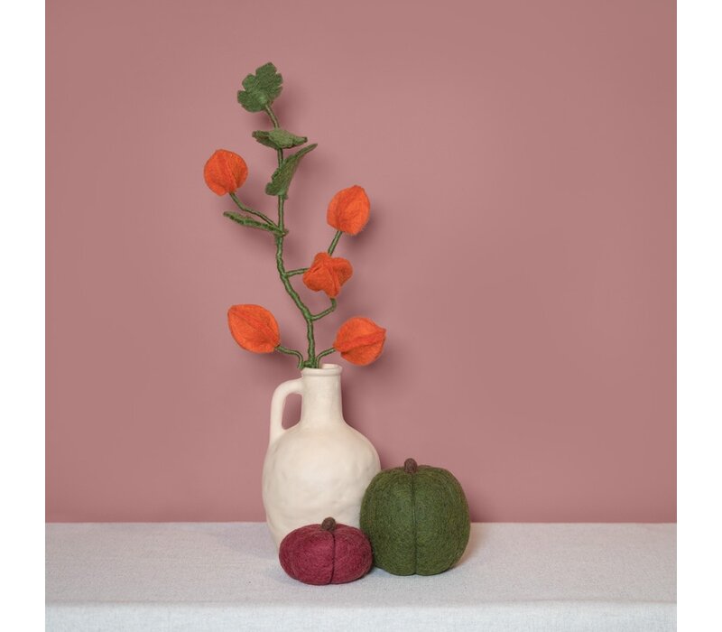 Sjaal met een Verhaal - Tak Physalis Lampion