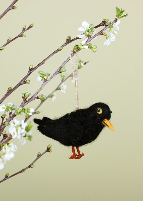 Sjaal met Verhaal Merel - Sjaal met een Verhaal