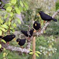 Sjaal met een Verhaal - Merel