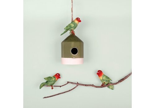 Sjaal met Verhaal Dwergpapegaai - Sjaal met een Verhaal