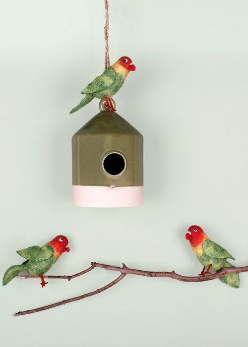 Sjaal met Verhaal Dwergpapegaai - Sjaal met een Verhaal