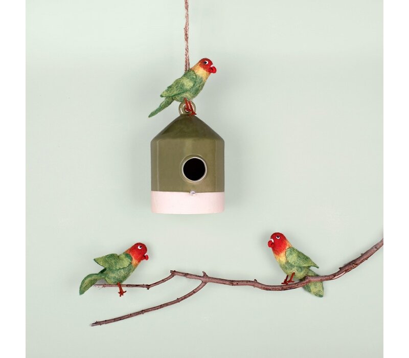 Sjaal met een Verhaal - Dwergpapegaai