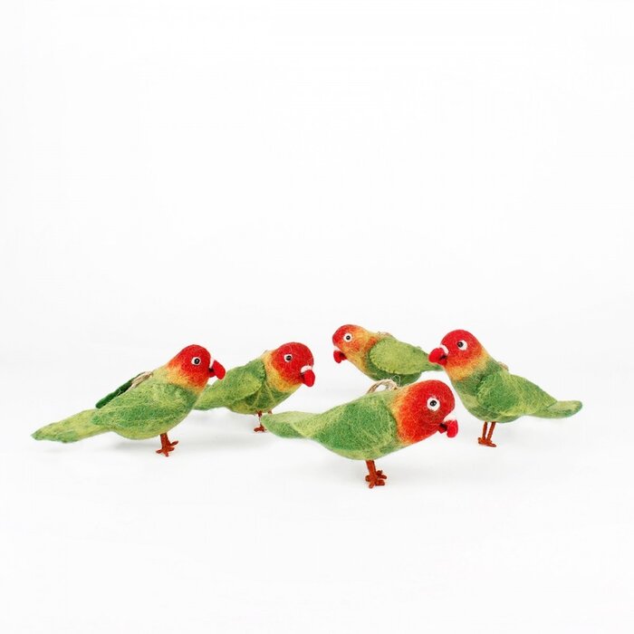 Sjaal met een Verhaal - Dwergpapegaai