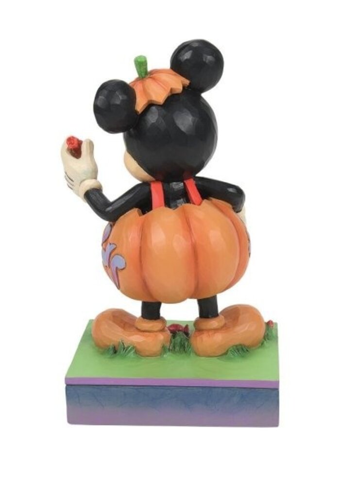 Disney Traditions - Mickey Mouse Pumpkin Costume