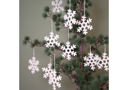 Sjaal met een Verhaal Hanger Sneeuwvlok (10 stuks) - Sjaal met een Verhaal Sjaal met een Verhaal Hanger Sneeuwvlok (10 stuks) - Sjaal met een Verhaal