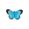 Wildlife Garden Wildlife Garden - Holly Blue Butterfly Magnet