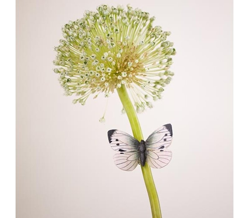 Wildlife Garden - Large White Butterfly Magnet