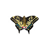 Wildlife Garden Wildlife Garden - Magnet Butterfly Swallowtail