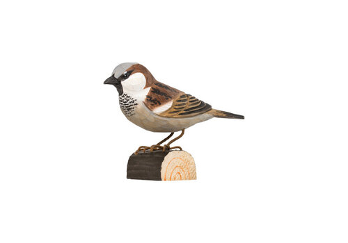 Wildlife Garden House Sparrow DecoBird - Wildlife Garden