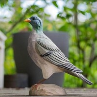 Wildlife Garden - Stock Dove DecoBird