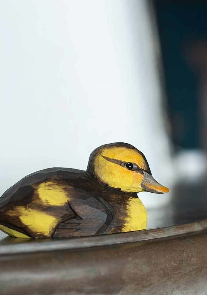 Wildlife Garden - Mallard Duckling Decobird