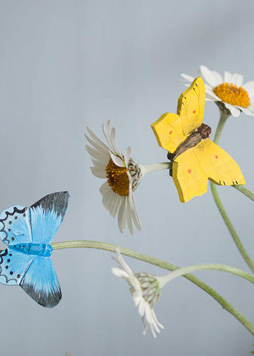 Wildlife Garden Brimstone Butterfly Magnet - Wildlife Garden