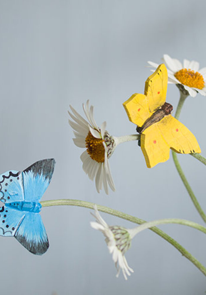 Wildlife Garden - Brimstone Butterfly Magnet