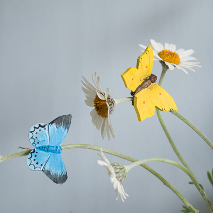 Wildlife Garden - Brimstone Butterfly Magnet