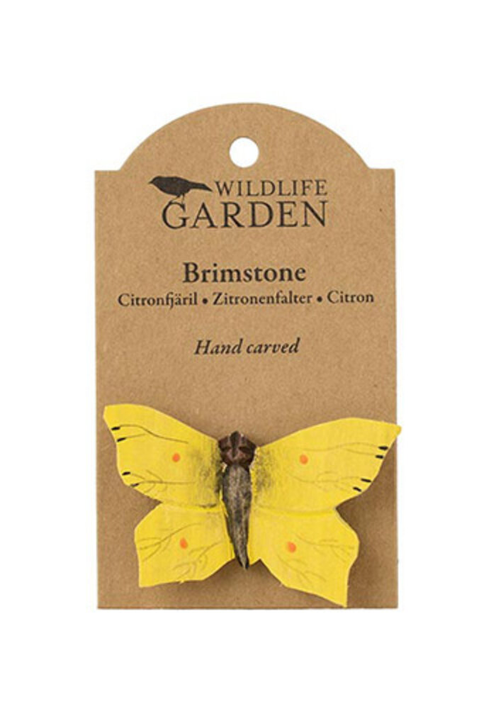 Wildlife Garden - Brimstone Butterfly Magnet