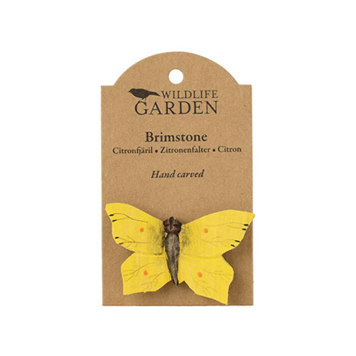 Wildlife Garden - Brimstone Butterfly Magnet