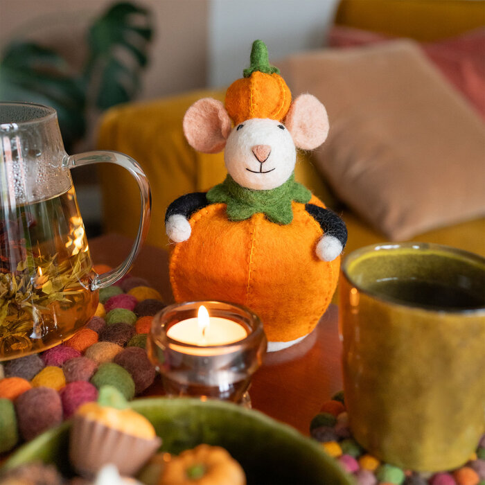 Sjaal met Verhaal Decoratie Muis Pompoen - Sjaal met een Verhaal