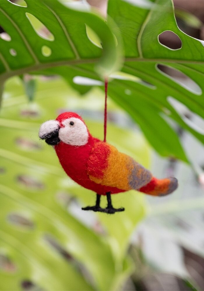 Sjaal met een Verhaal - Ara