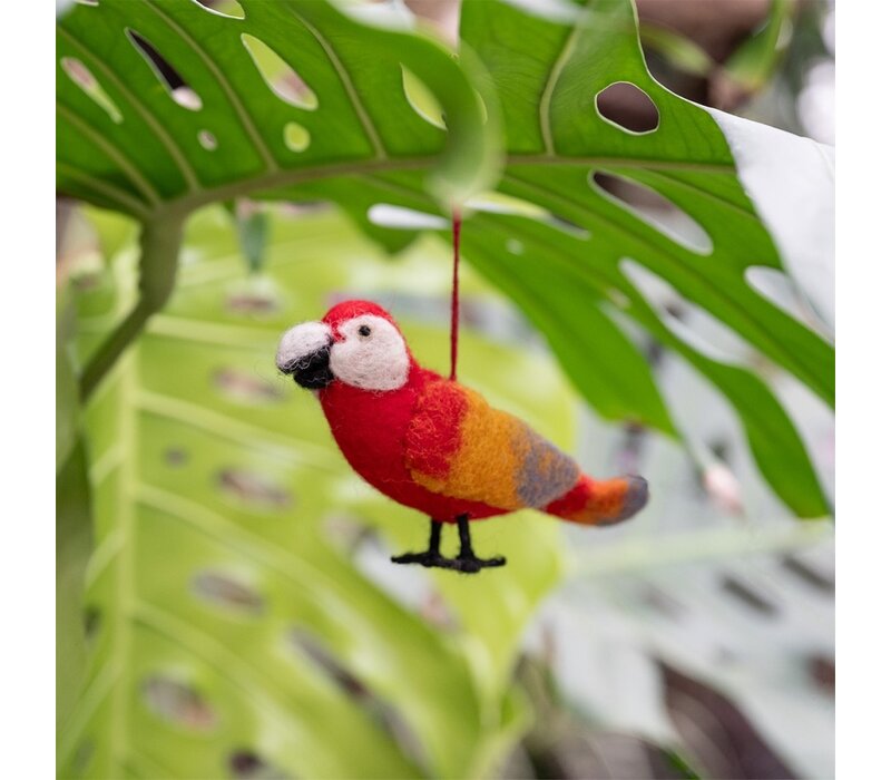 Sjaal met een Verhaal - Ara