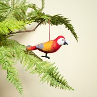 Sjaal met een Verhaal - Ara