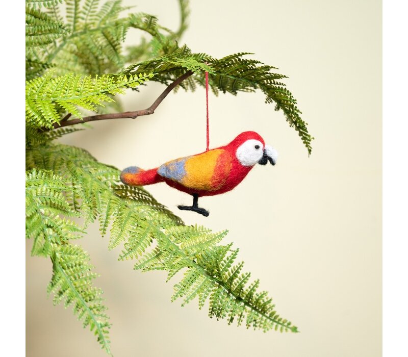 Sjaal met een Verhaal - Ara