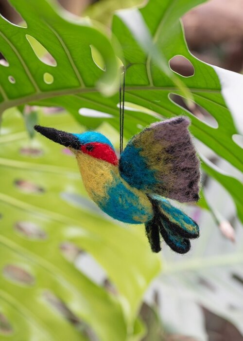 Sjaal met Verhaal Kolibrie - Sjaal met een Verhaal