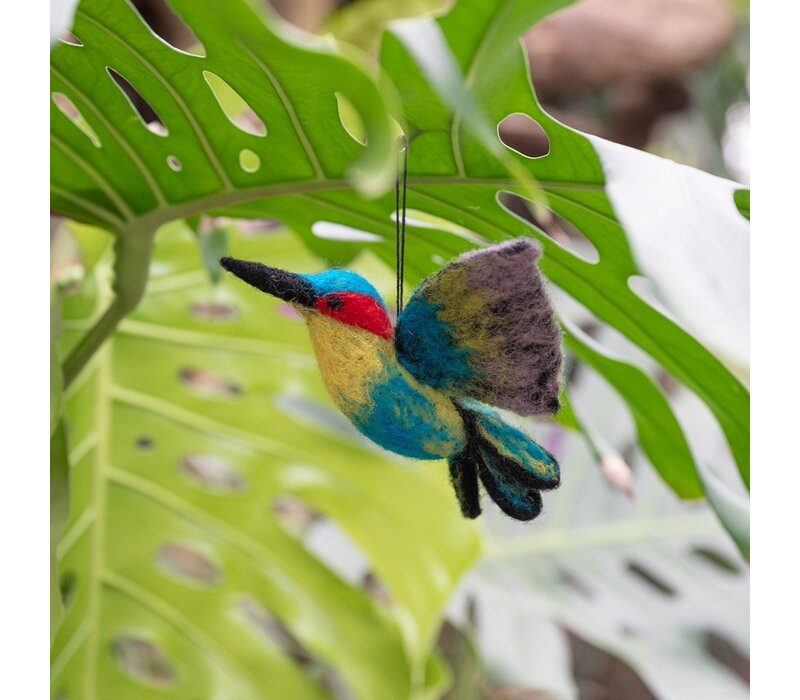Sjaal met een Verhaal - Kolibrie
