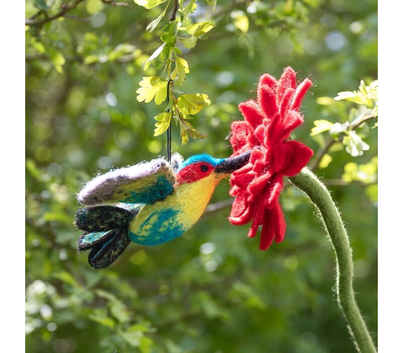 Sjaal met een Verhaal - Kolibrie