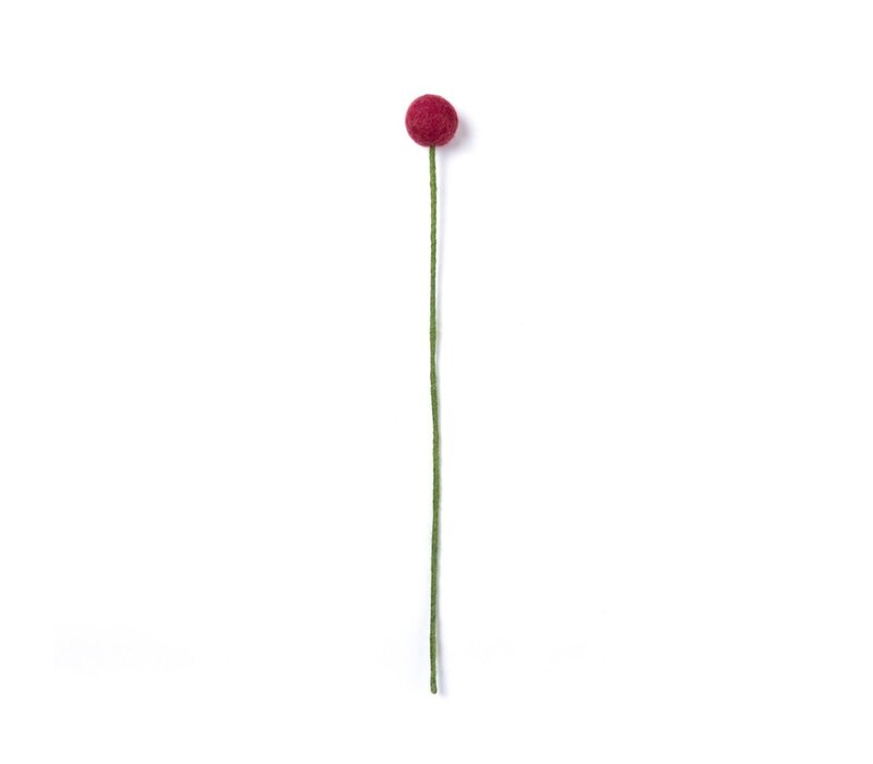 Sjaal met een Verhaal - Craspedia's Holly Berry (3 stuks)
