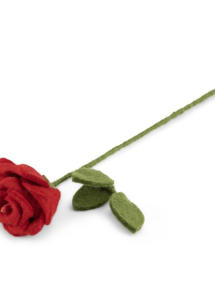 Sjaal met een Verhaal - Roos Rood