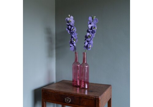 Sjaal met Verhaal Ridderspoor Lila - Sjaal met een Verhaal