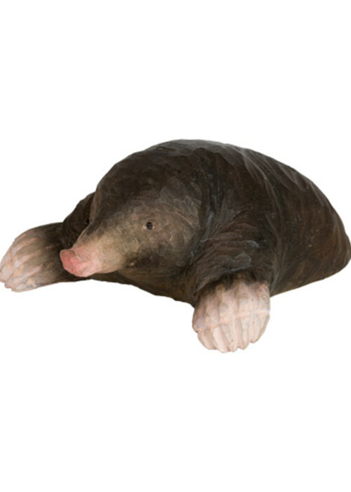 Wildlife Garden European Mole - Wildlife Garden